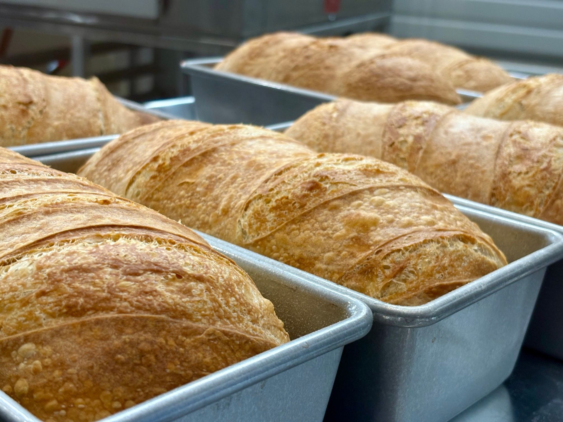 Original Sourdough